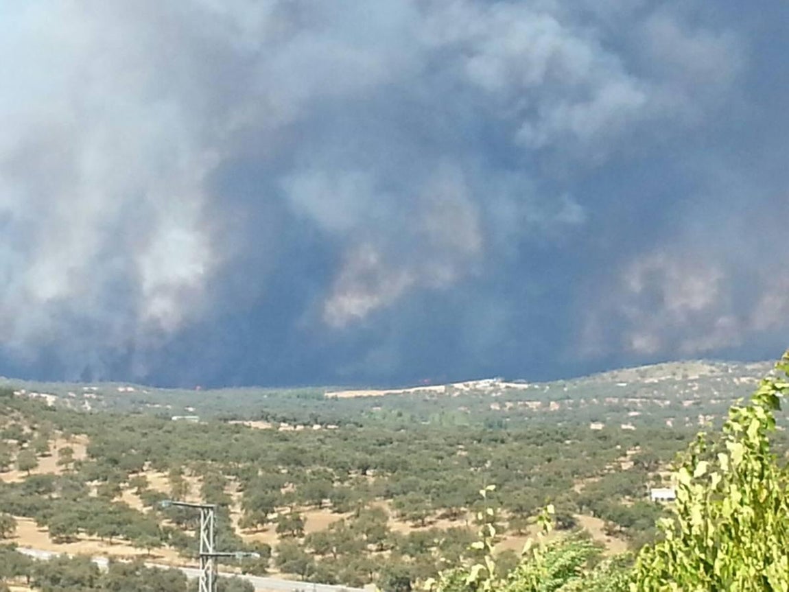 Cenizas tras el incendio de El Castillo de las Guardas