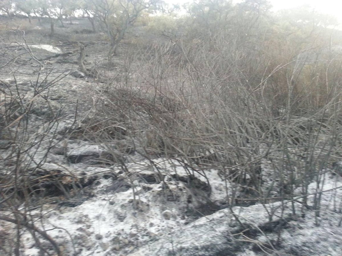 Cenizas tras el incendio de El Castillo de las Guardas