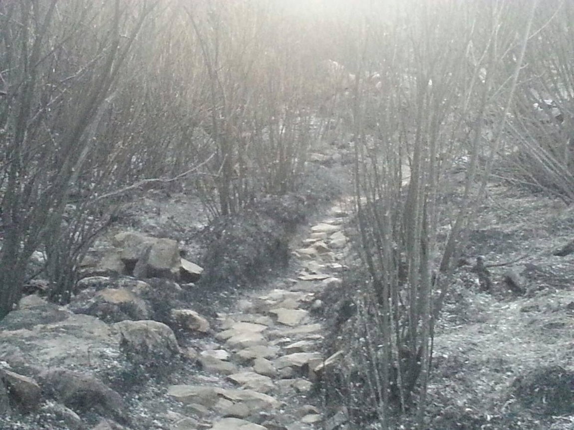Cenizas tras el incendio de El Castillo de las Guardas