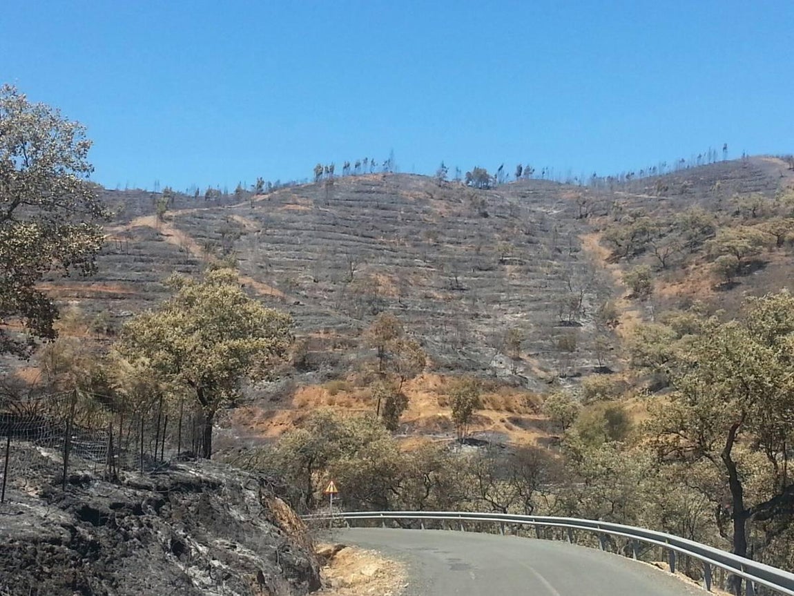 Cenizas tras el incendio de El Castillo de las Guardas