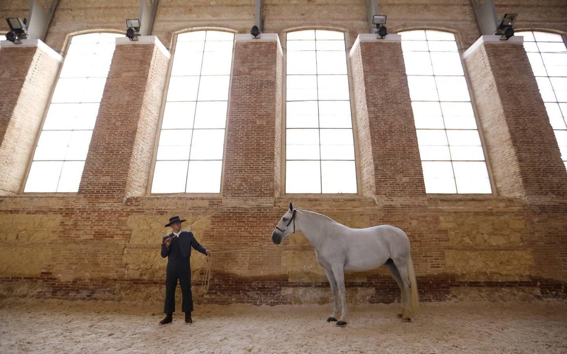 La Feria del Caballo de Córdoba, en imágenes