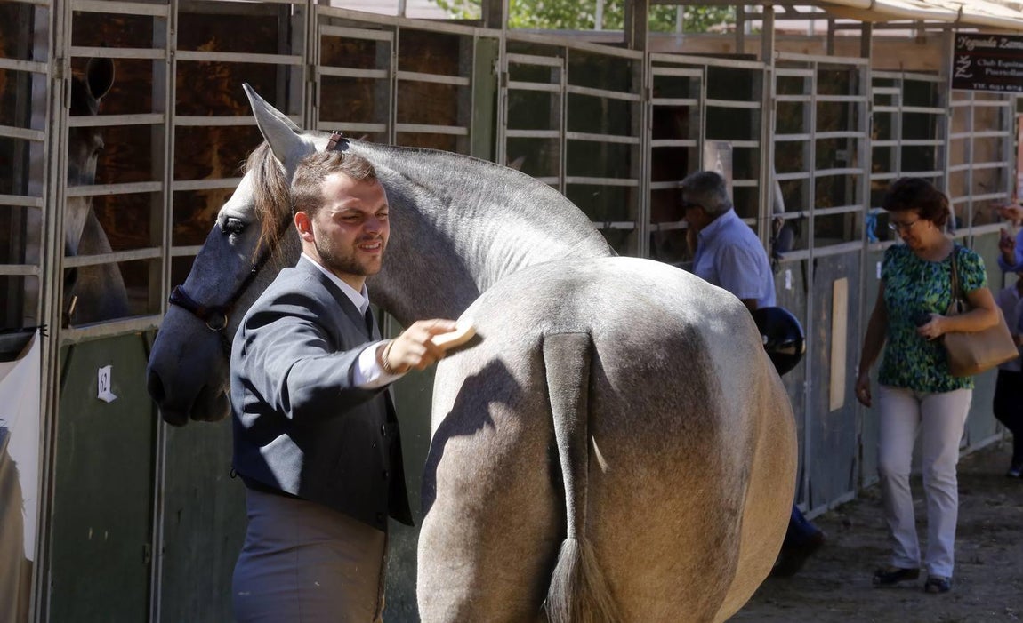 La Feria del Caballo de Córdoba, en imágenes