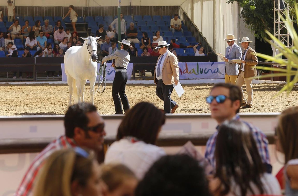 La Feria del Caballo de Córdoba, en imágenes