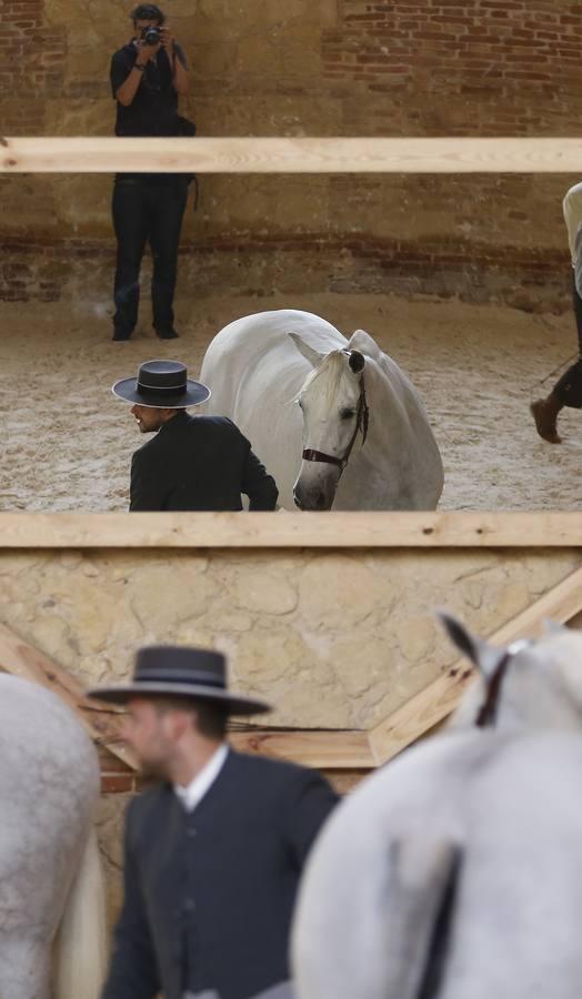 La Feria del Caballo de Córdoba, en imágenes