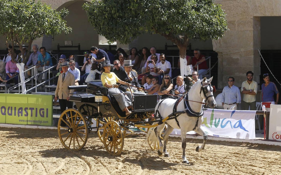 La Feria del Caballo de Córdoba, en imágenes