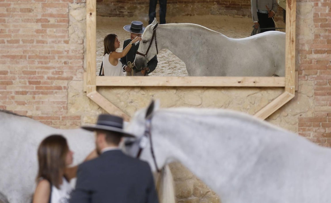 La Feria del Caballo de Córdoba, en imágenes