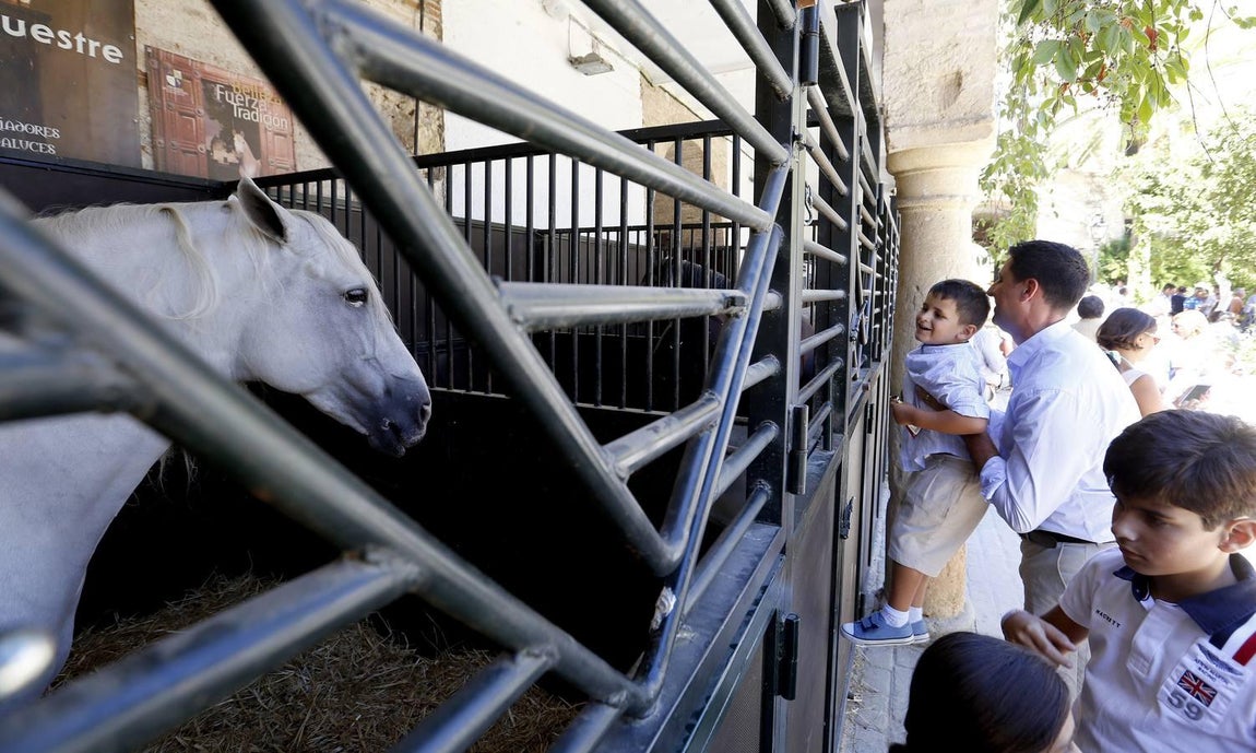 La Feria del Caballo de Córdoba, en imágenes