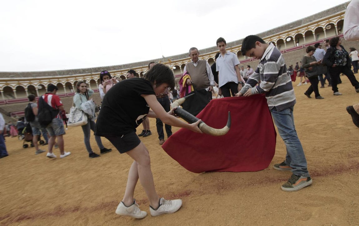 Esta actividad, organizada por la empresa Pagés en colaboración con la Fundación Cajasol, busca difundir los valores del toreo.