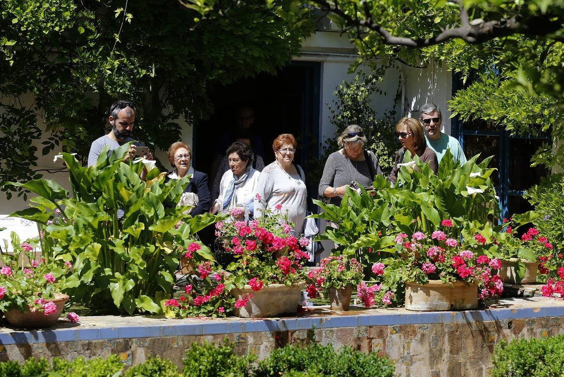 Los patios del Palacio de Viana de Córdoba, en imágenes