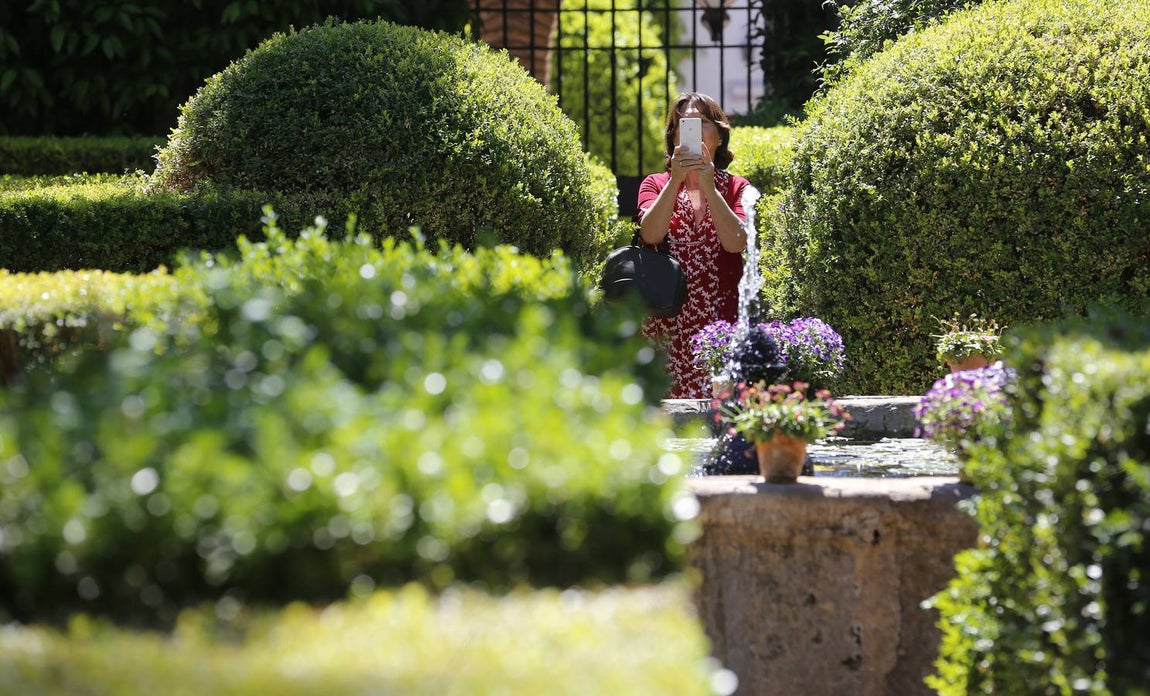 Los patios del Palacio de Viana de Córdoba, en imágenes
