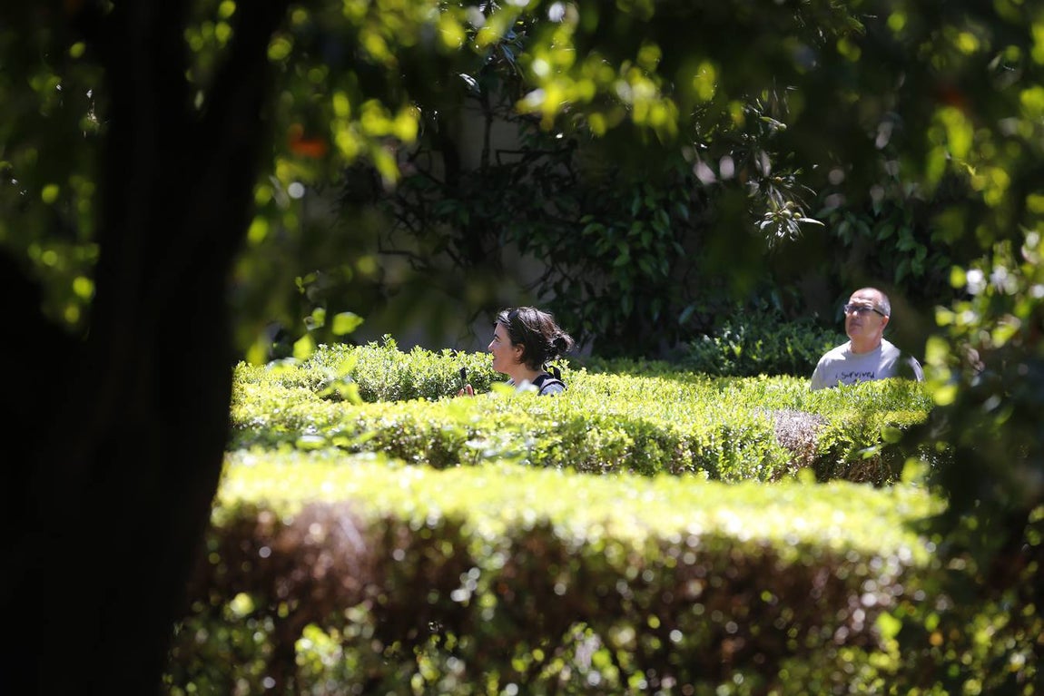 Los patios del Palacio de Viana de Córdoba, en imágenes