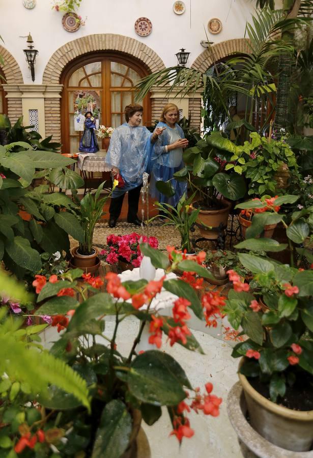 Los patios de la Judería de Córdoba, en imágenes