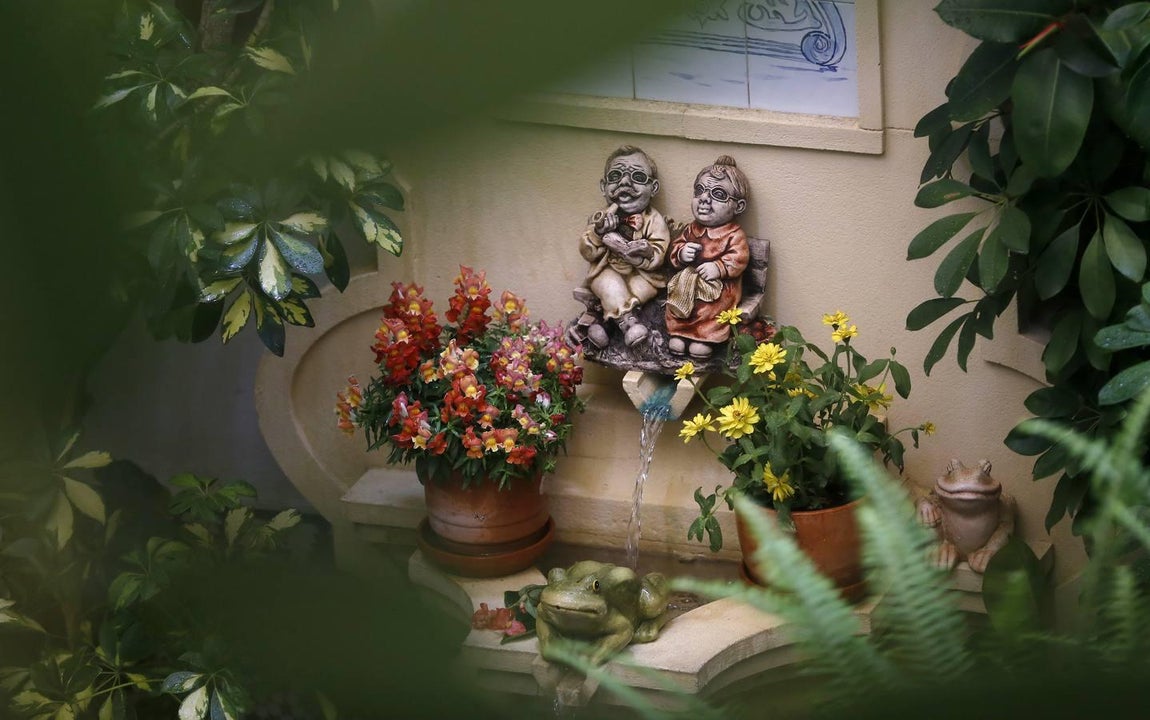 Los patios de la Judería de Córdoba, en imágenes