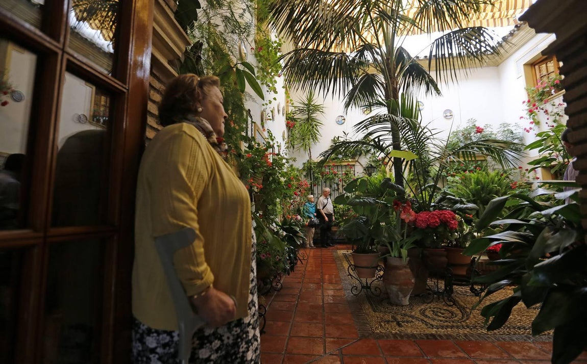 Los patios de la Judería de Córdoba, en imágenes