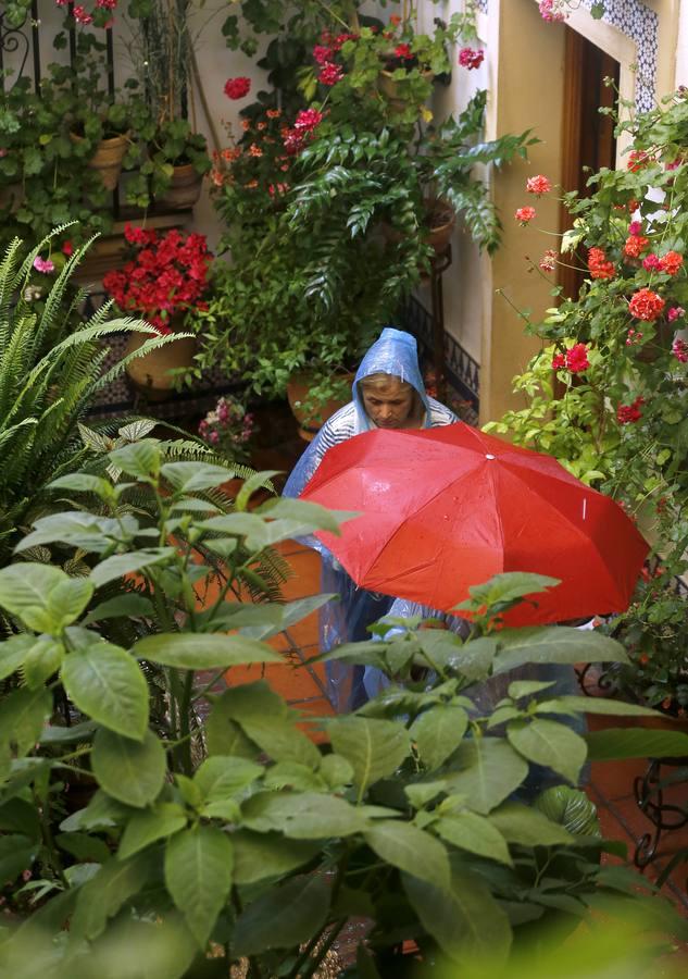 Los patios de la Judería de Córdoba, en imágenes