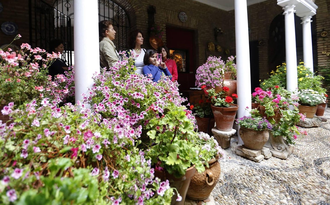 Los patios de la Judería de Córdoba, en imágenes