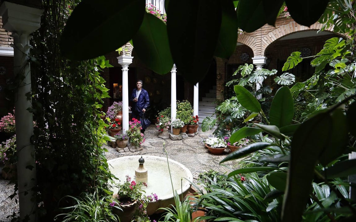 Los patios de la Judería de Córdoba, en imágenes