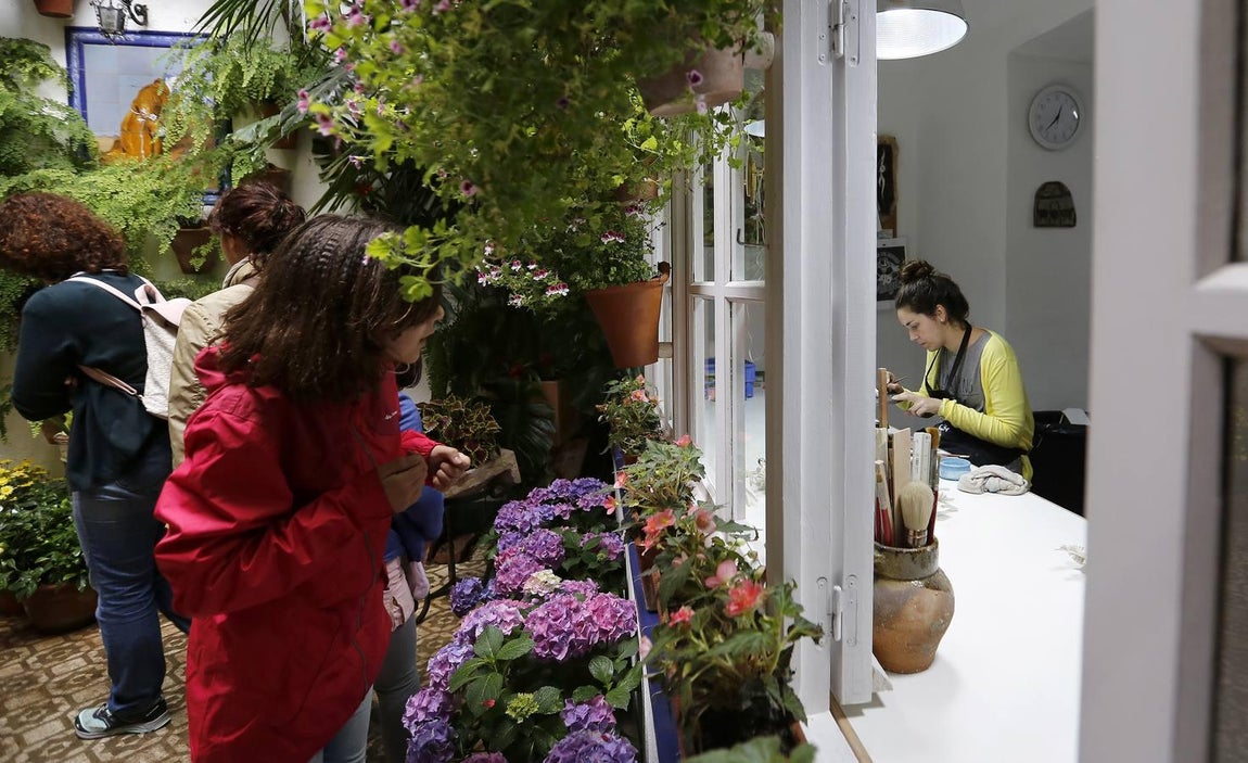 Los patios de la Judería de Córdoba, en imágenes
