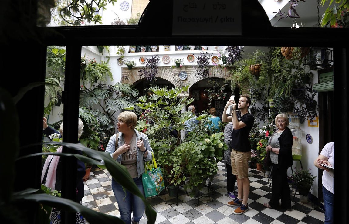 Los patios de la Judería de Córdoba, en imágenes