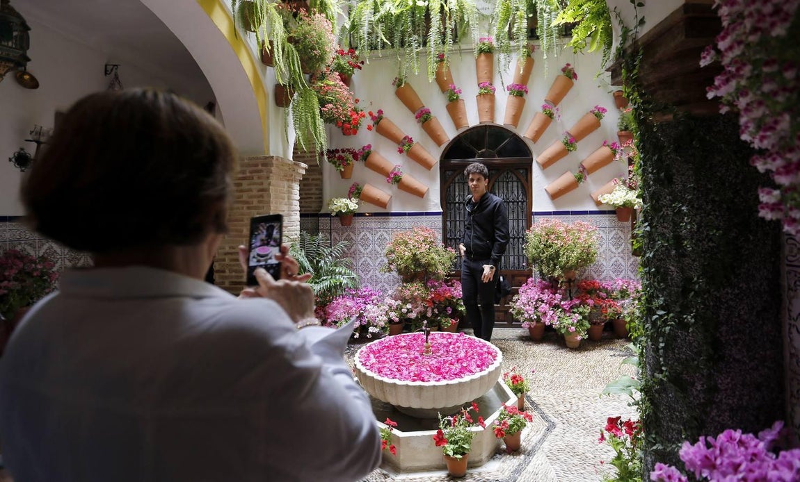 Los patios de la Judería de Córdoba, en imágenes