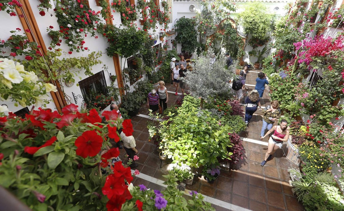 Patios ganadores del Concurso de Córdoba 2017, en imágenes