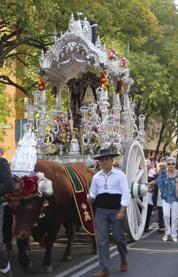 La salida de la hermandad del Rocío de Sevilla Sur, en imágenes