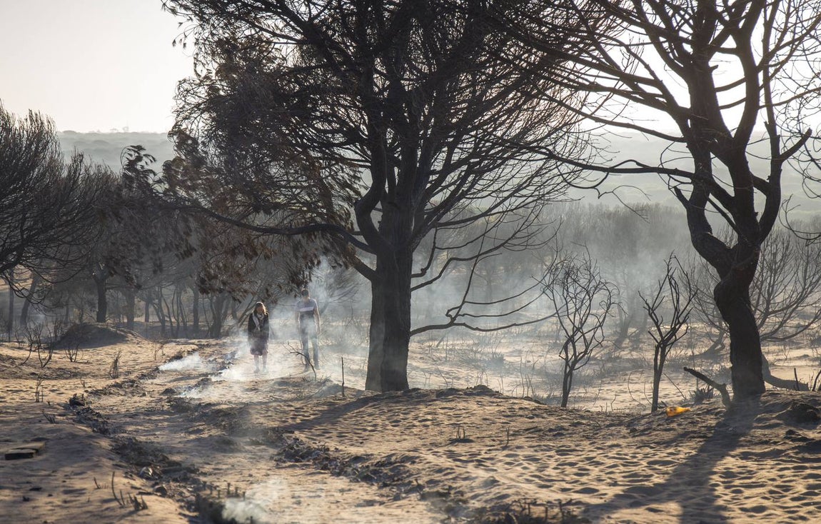 Los estragos del incendio en Doñana, en imágenes