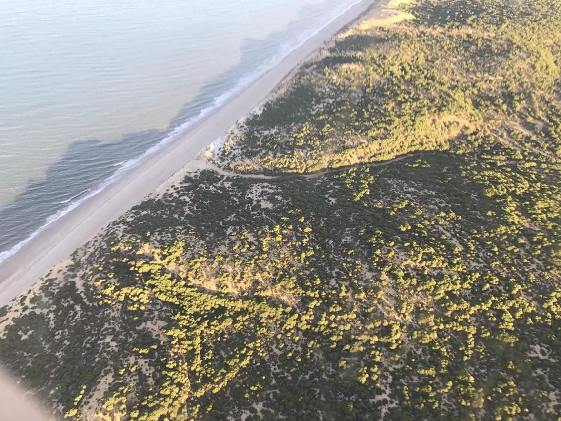 Fotografía aéreas del incendio que ha afectado al perímetro del Parque Nacional de Doñana, entre las localidades de Mazagón y Matalascañas