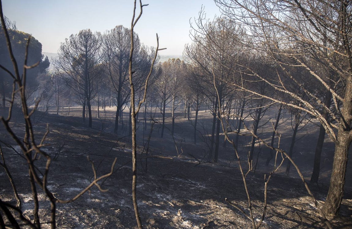 Estabilizado el incendio entre Gibraleón y El Portil