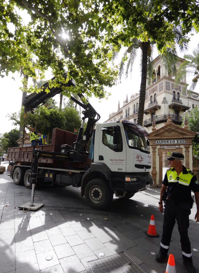 En imágenes: Sevilla se protege contra el terrorismo