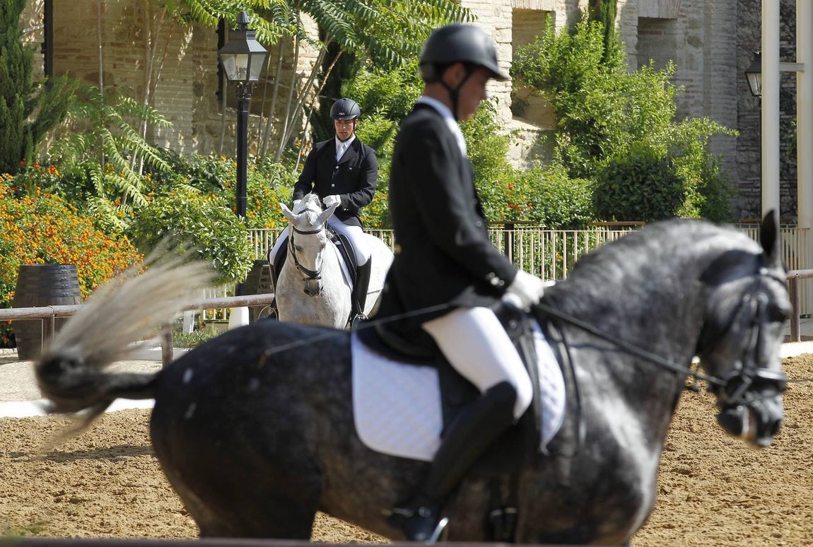 El primer día del Concurso Nacional de Doma Clásica, en imágenes