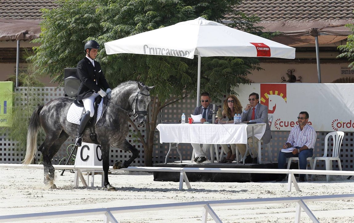 El primer día del Concurso Nacional de Doma Clásica, en imágenes