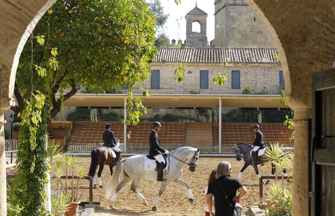 El primer día del Concurso Nacional de Doma Clásica, en imágenes