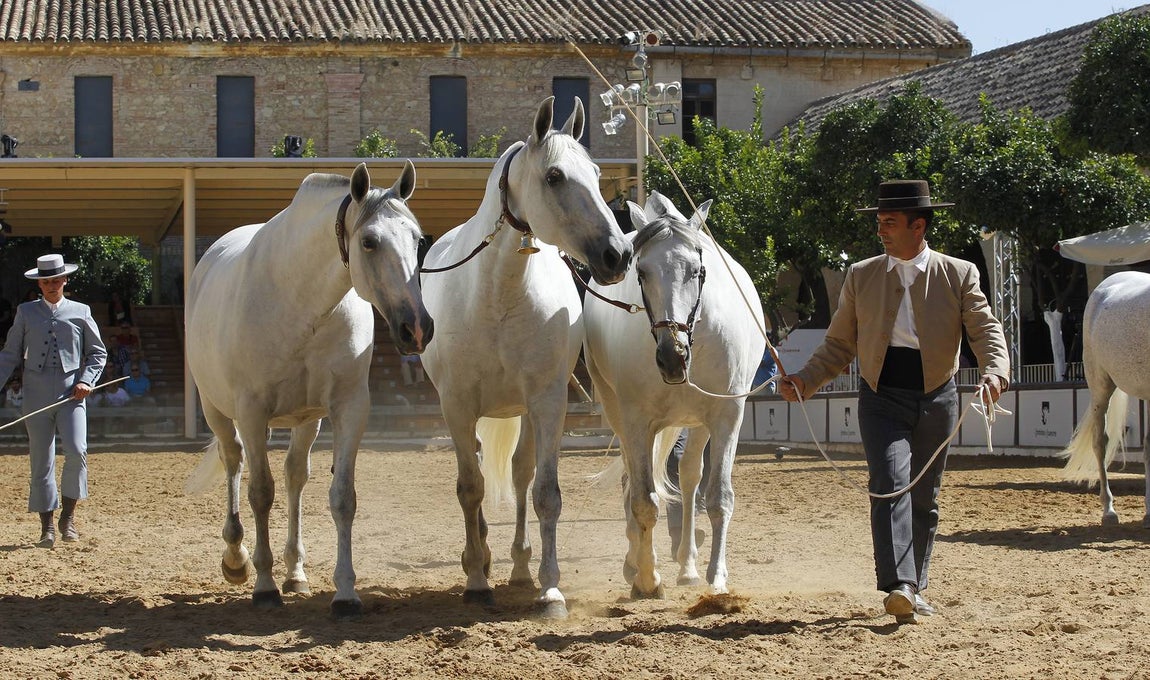 La última jornada de Cabalcor, en imágenes