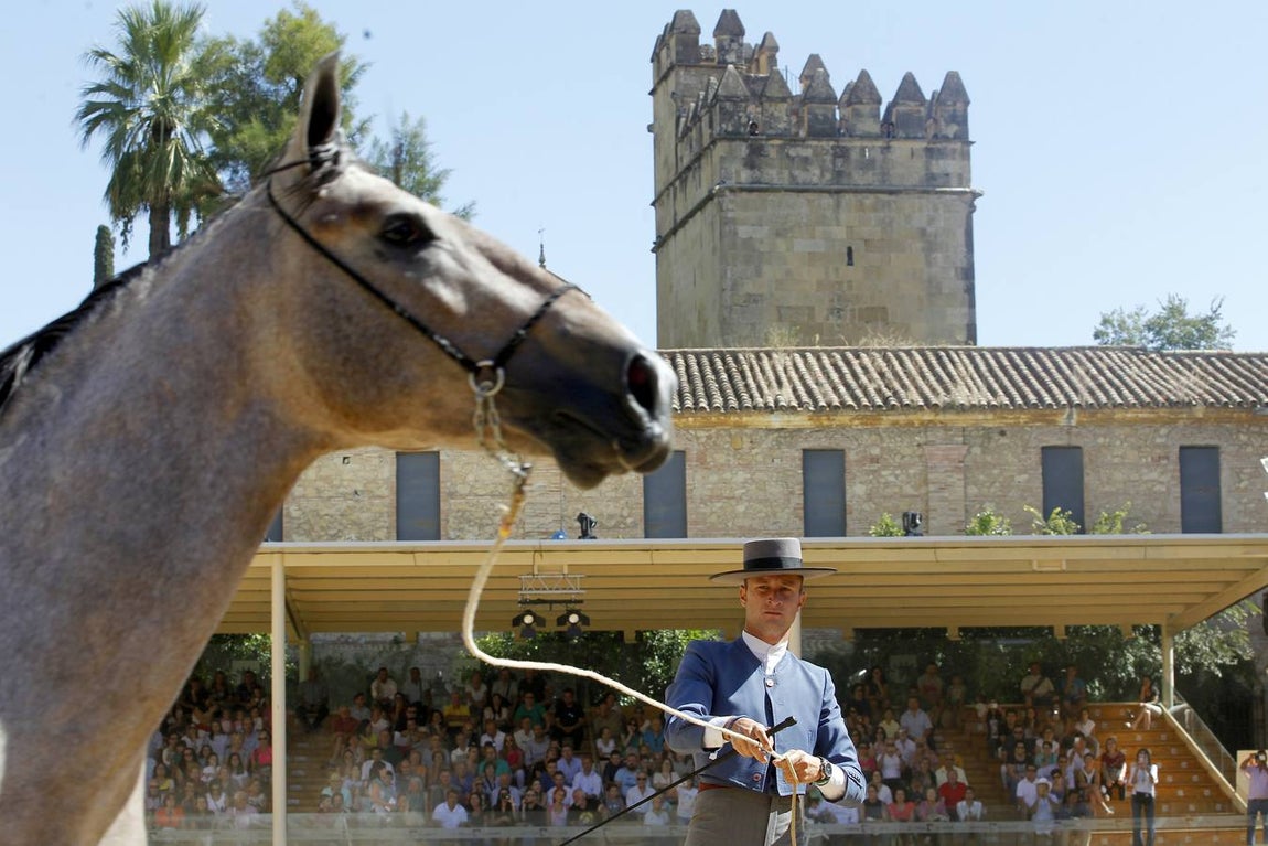 La última jornada de Cabalcor, en imágenes