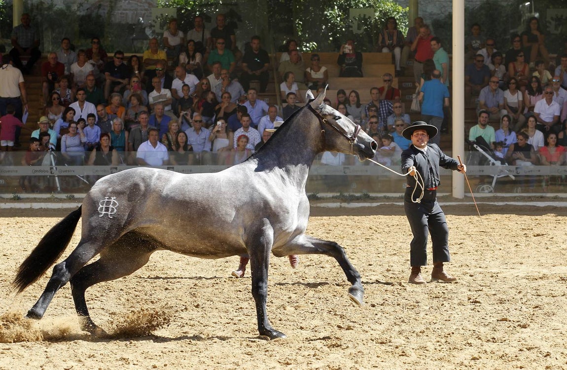La última jornada de Cabalcor, en imágenes