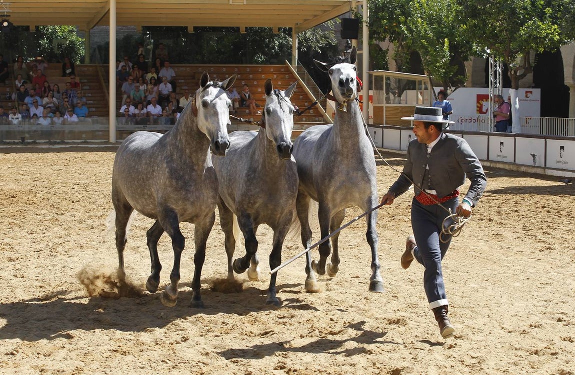 La última jornada de Cabalcor, en imágenes