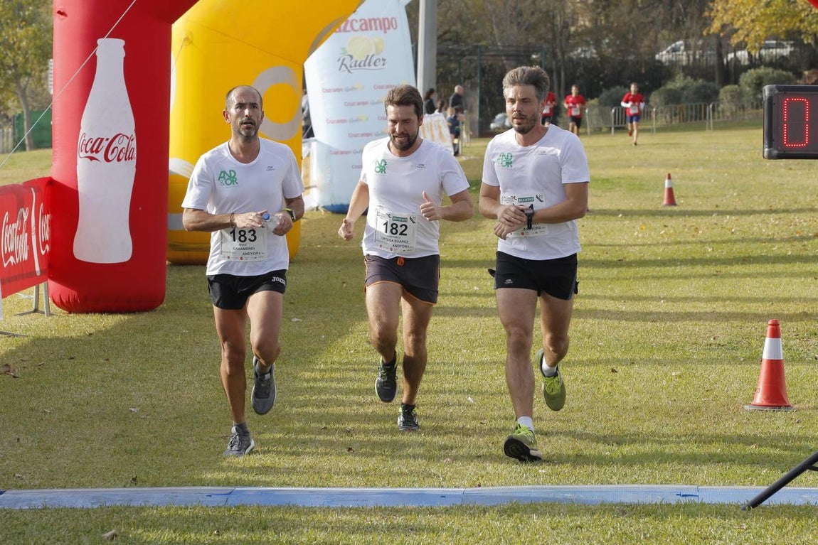 ¿Has corrido la Carrera de empresas? ¡Búscate aquí! (V)