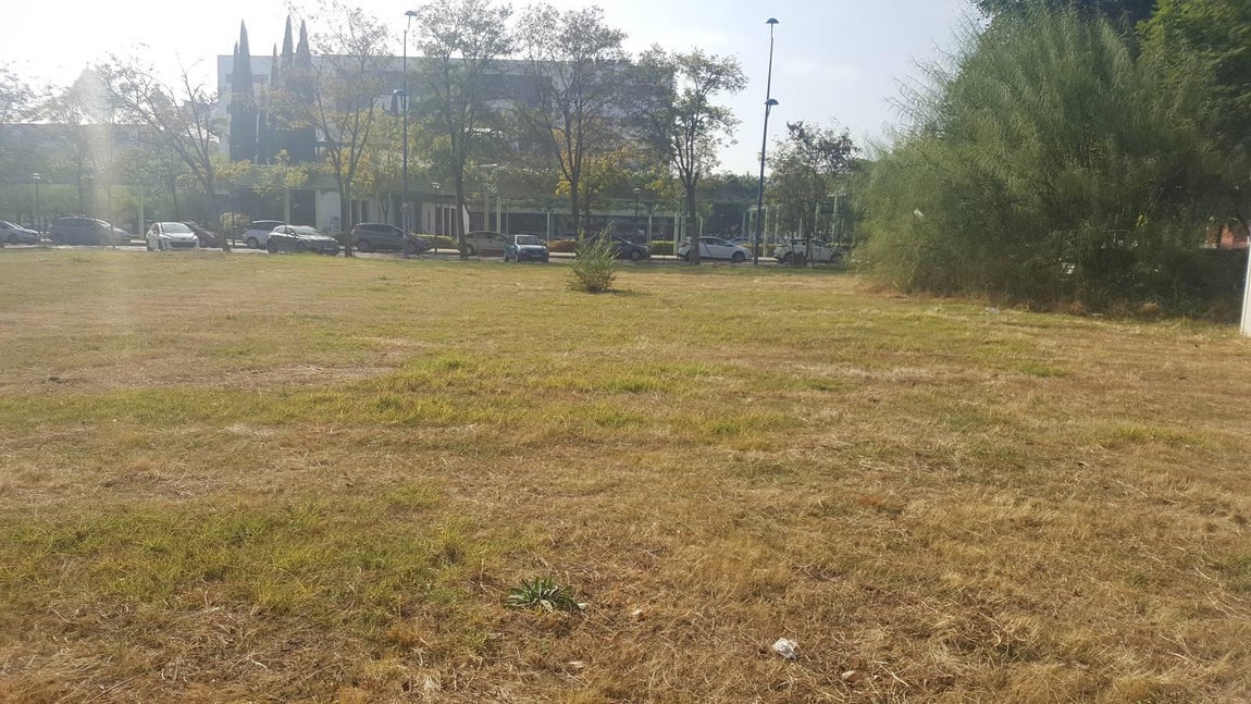 El legado del 92, en el olvido