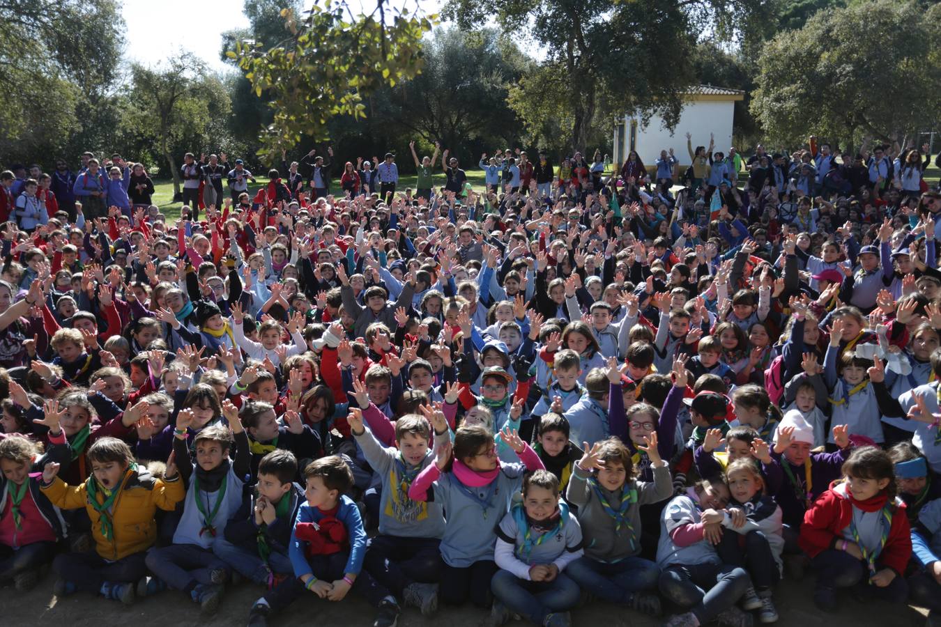 Los scouts acampan en el Alamillo
