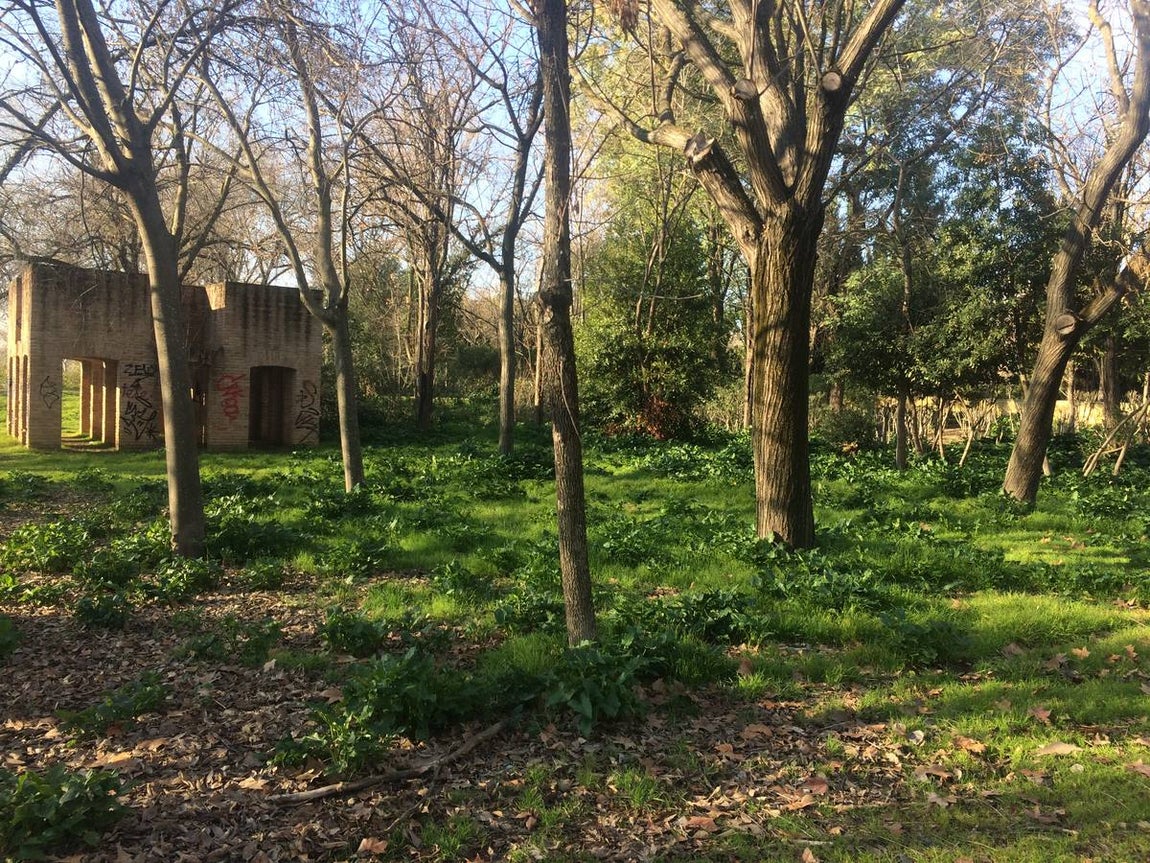 Suciedad, desperfectos, basura... y una guardería okupa en la Cartuja