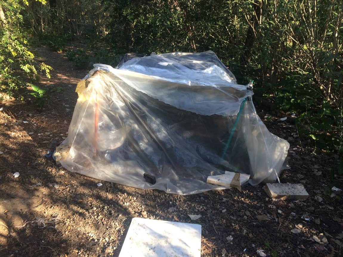 Suciedad, desperfectos, basura... y una guardería okupa en la Cartuja