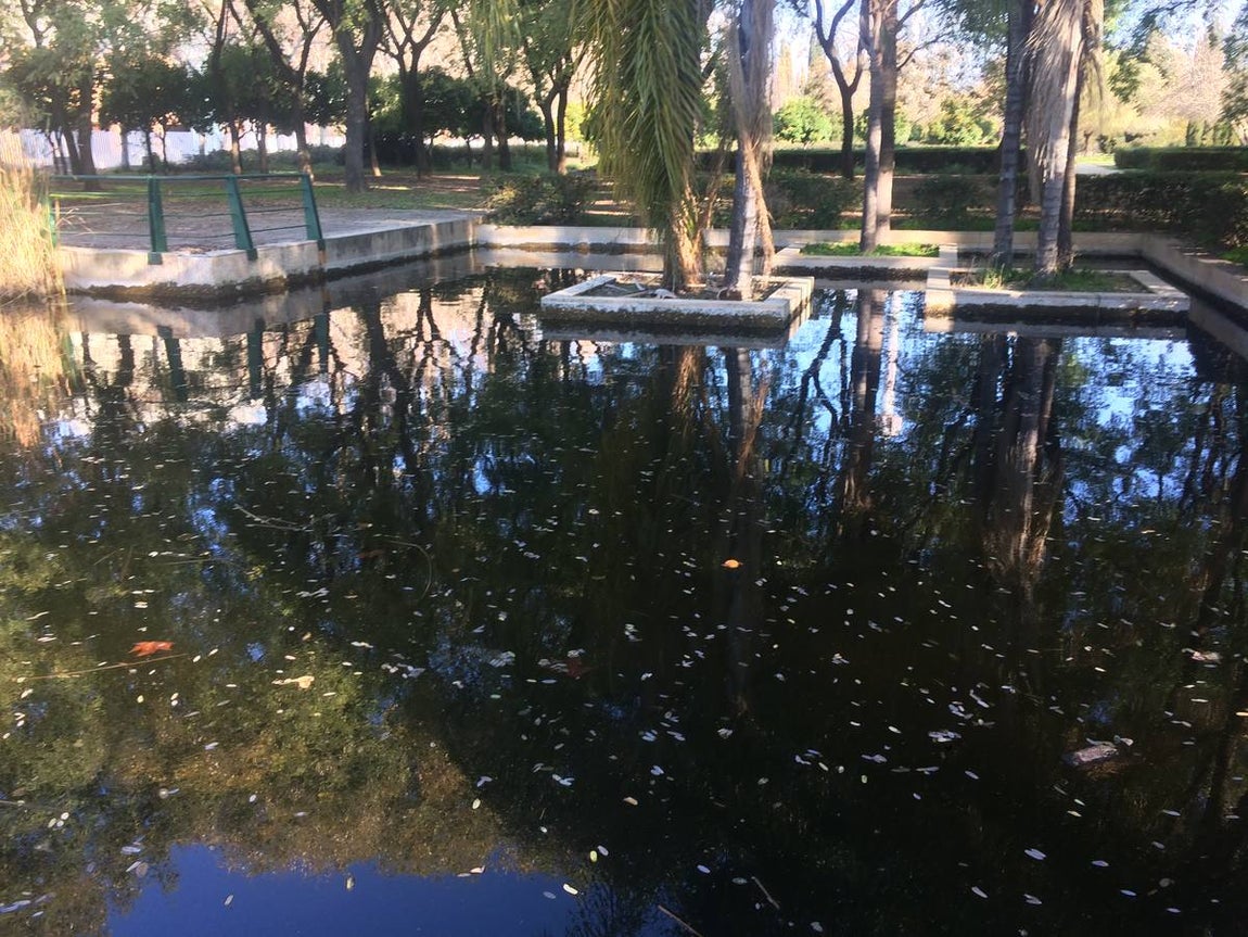 Suciedad, desperfectos, basura... y una guardería okupa en la Cartuja