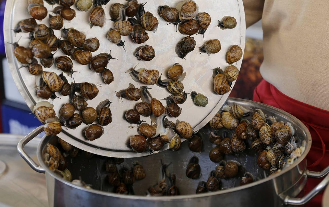 La nueva temporada de caracoles en Córdoba, en imágenes