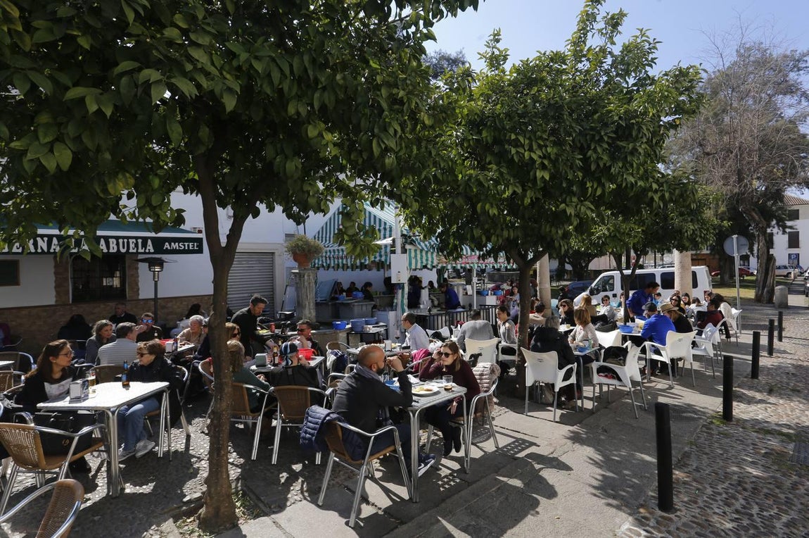 La nueva temporada de caracoles en Córdoba, en imágenes