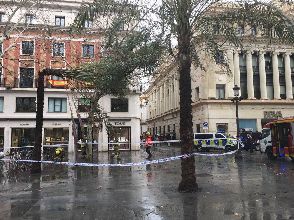 Temporal en Sevilla: El paso de la borrasca Emma por la ciudad, en imágenes