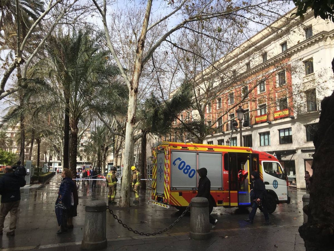 Temporal en Sevilla: El paso de la borrasca Emma por la ciudad, en imágenes