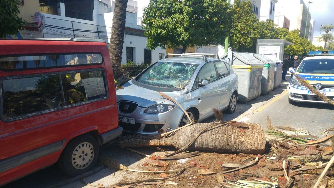 Los estragos del temporal en Sevilla