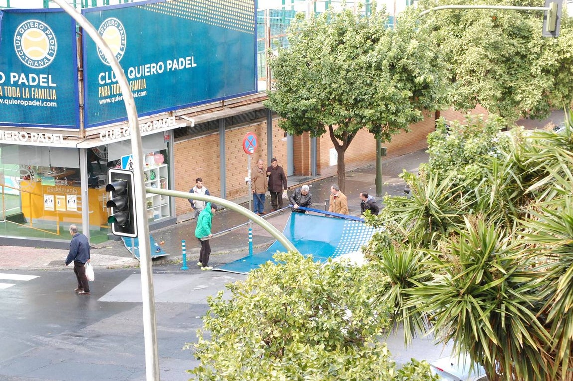 Los estragos del temporal en Sevilla
