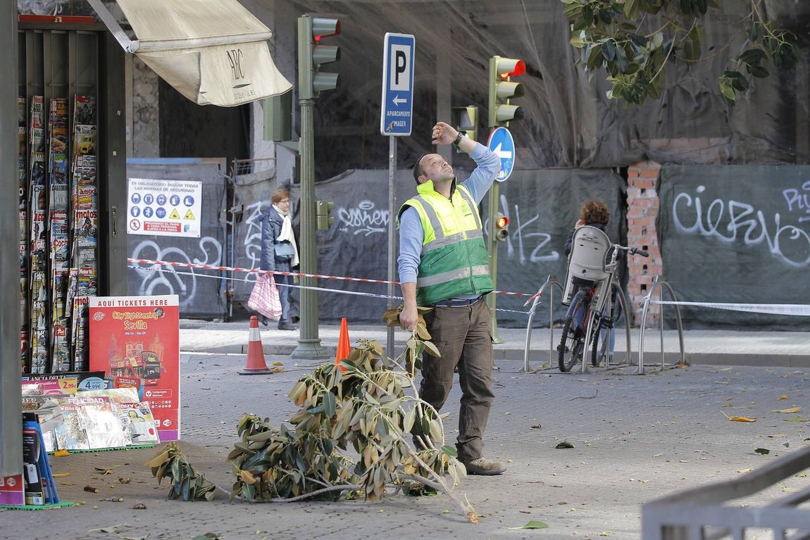 Los estragos del temporal en Sevilla